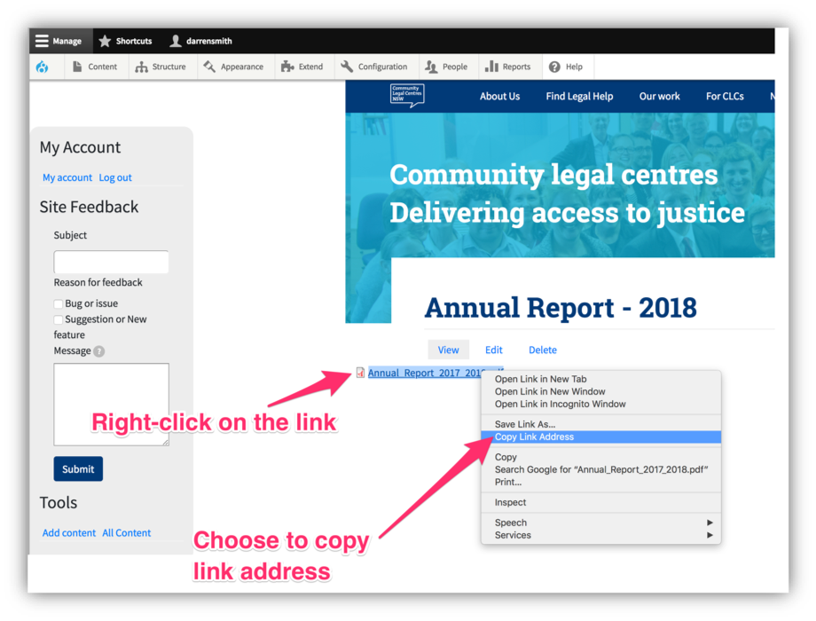Copy and paste the document URL into the web page or email